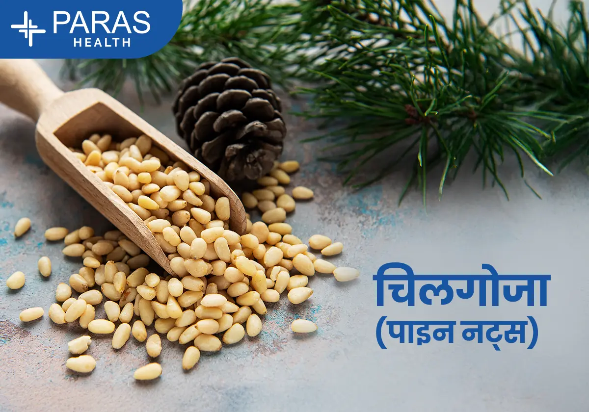 चिलगोज़ा के फायदे